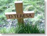 D. Teresa's Cross